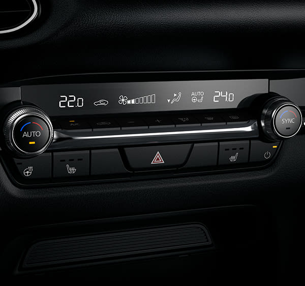 Dual Zone Air Conditioning