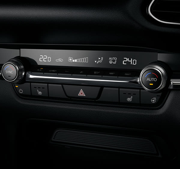 DUAL-ZONE AUTOMATIC CLIMATE CONTROL