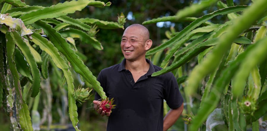 Amami Oshima