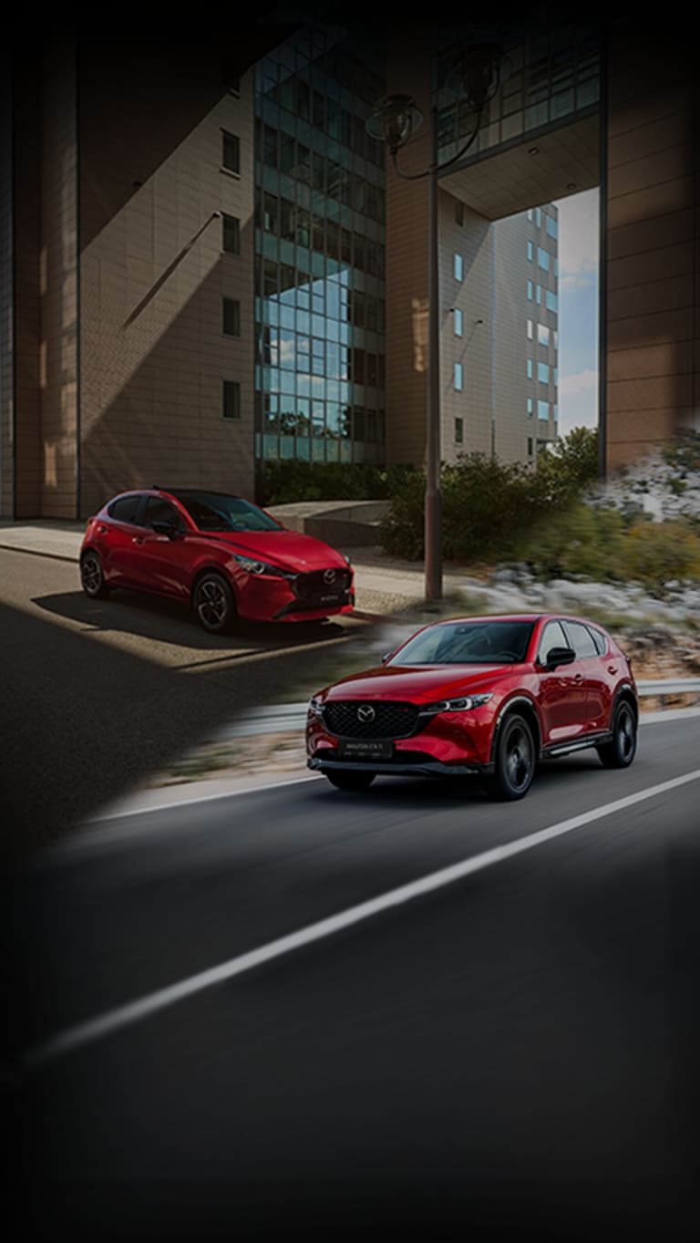 Leasing-Meisterstücke<br />Crafted in Japan