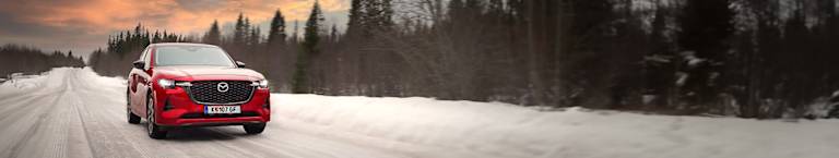 Mazda Winter-Check