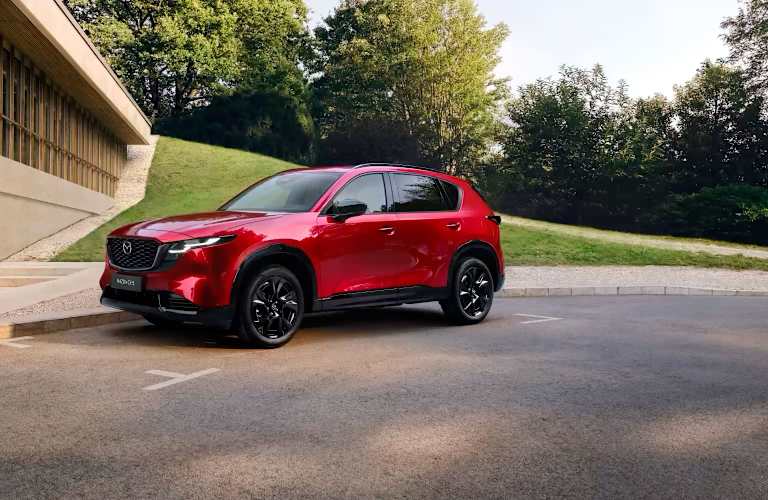 EEN NIEUWE KIJK OP HET VERTROUWDE