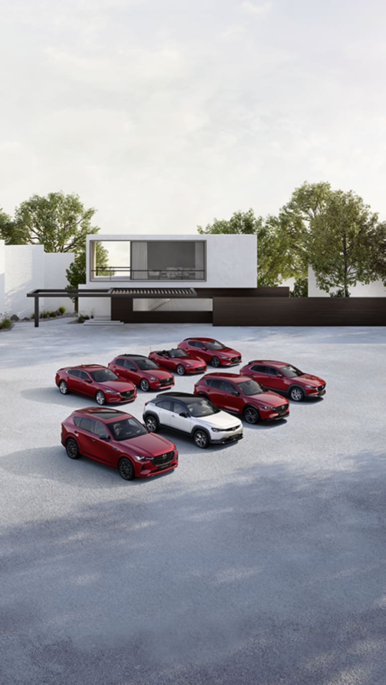 DÉCOUVREZ NOS OFFRES ACTUELLES.