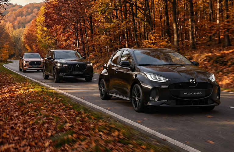 Offre exceptionnelle d'automne