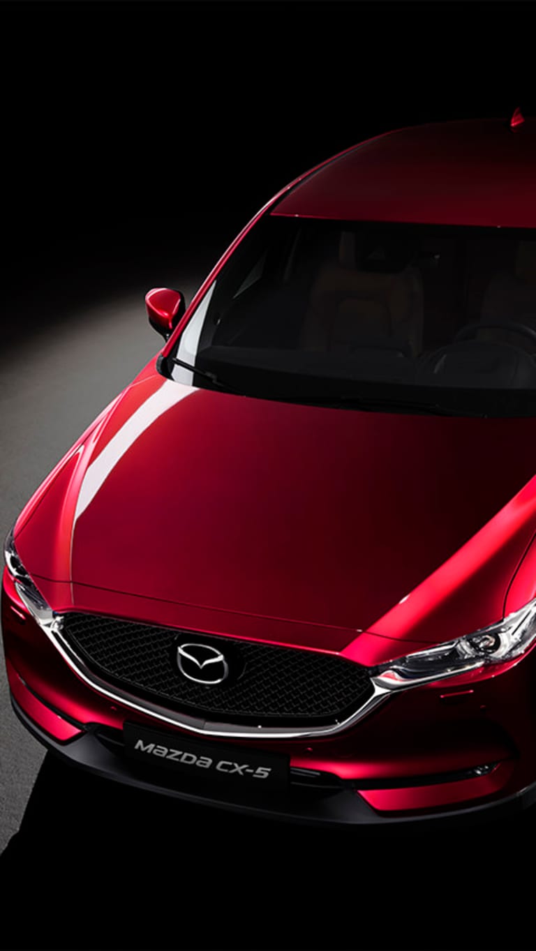 Accessori in evidenza