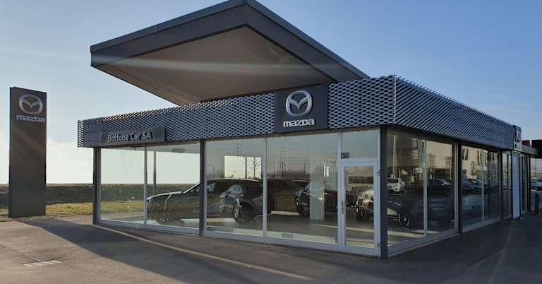 #{dealerWebsitePageName}