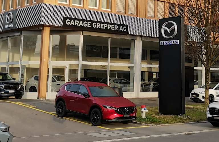 #{dealerWebsitePageName}