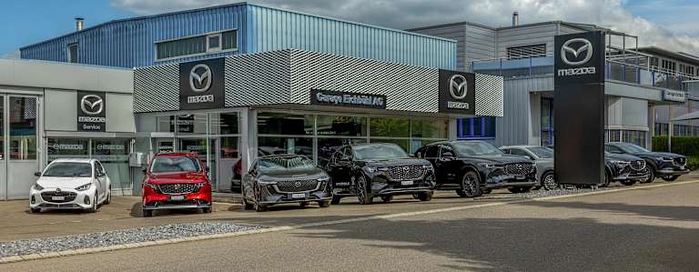 #{dealerWebsitePageName}