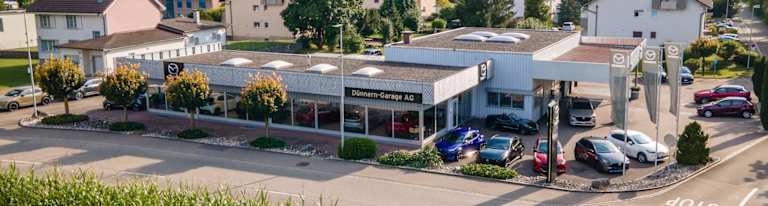 #{dealerWebsitePageName}