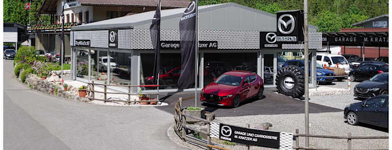 #{dealerWebsitePageName}