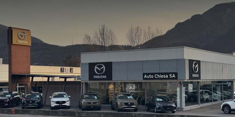 #{dealerWebsitePageName}
