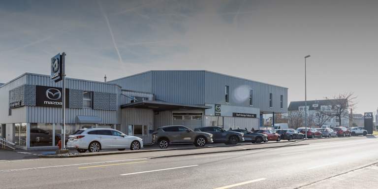 #{dealerWebsitePageName}