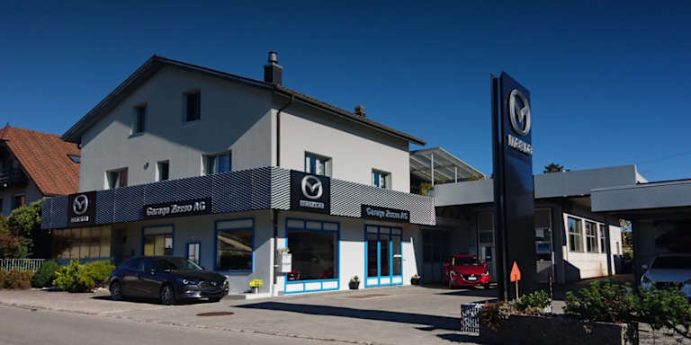 #{dealerWebsitePageName}