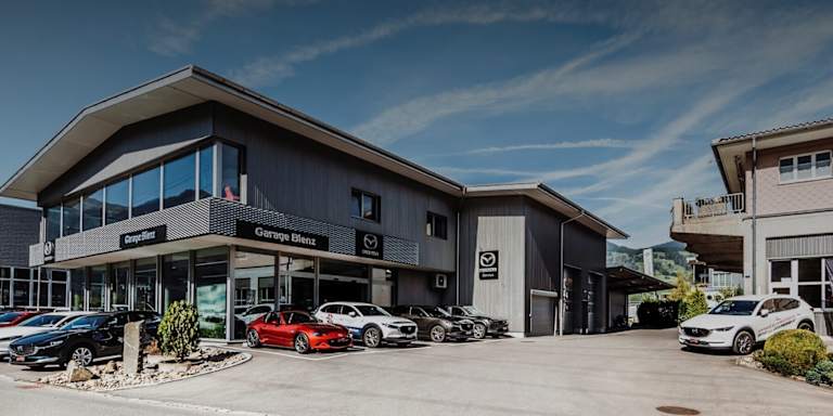 #{dealerWebsitePageName}