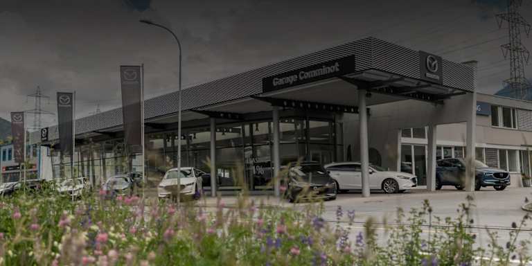 #{dealerWebsitePageName}