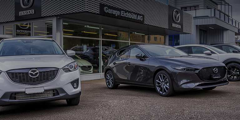 #{dealerWebsitePageName}