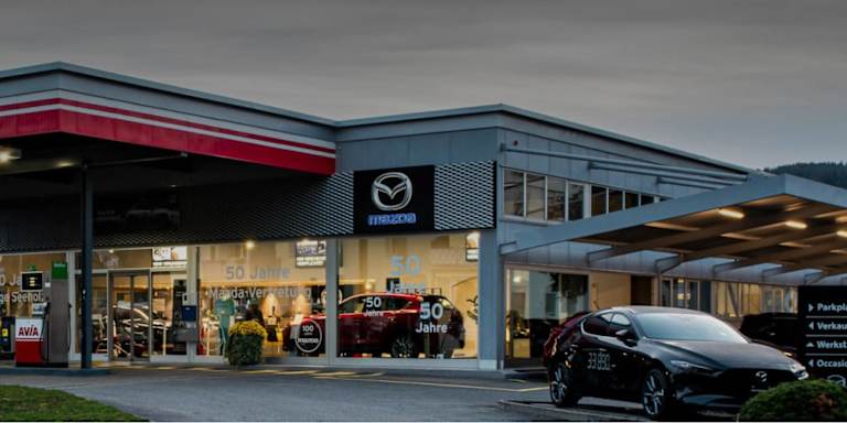 #{dealerWebsitePageName}