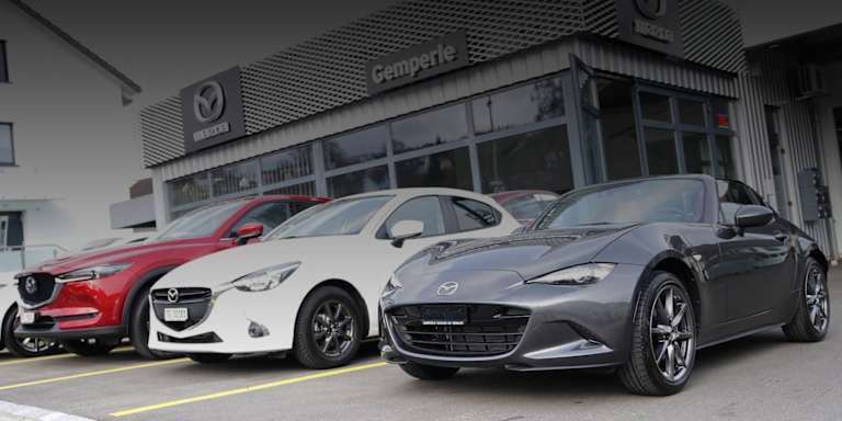 #{dealerWebsitePageName}