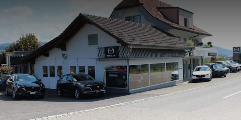 #{dealerWebsitePageName}