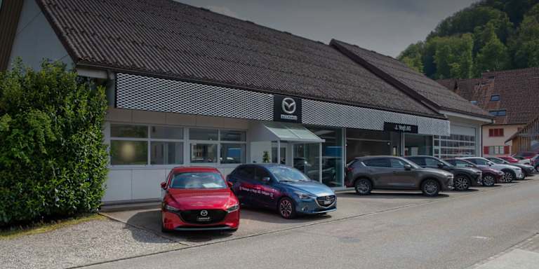 #{dealerWebsitePageName}