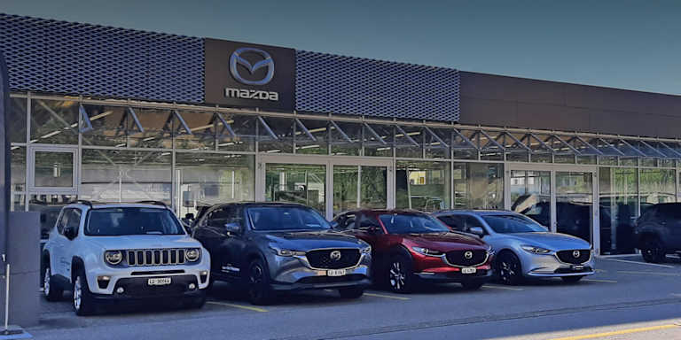 #{dealerWebsitePageName}