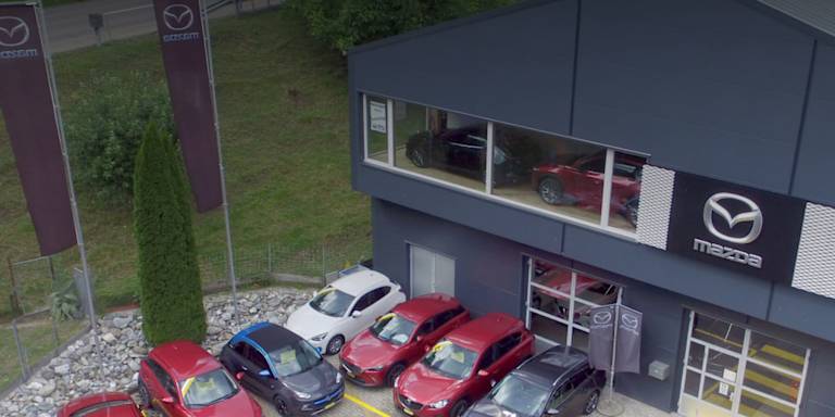 #{dealerWebsitePageName}