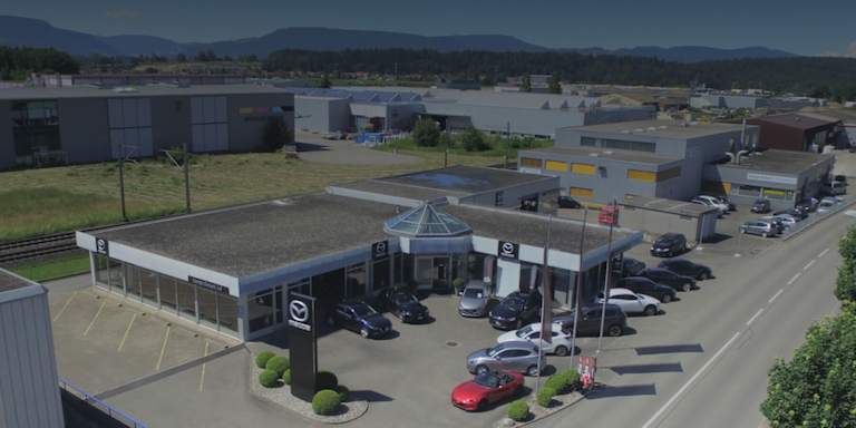 #{dealerWebsitePageName}