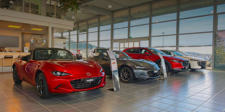 #{dealerWebsitePageName}