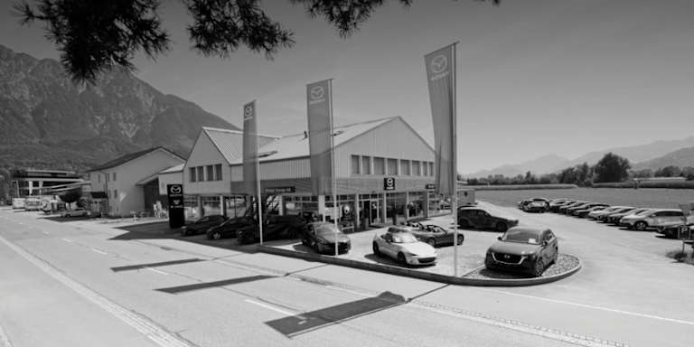 #{dealerWebsitePageName}