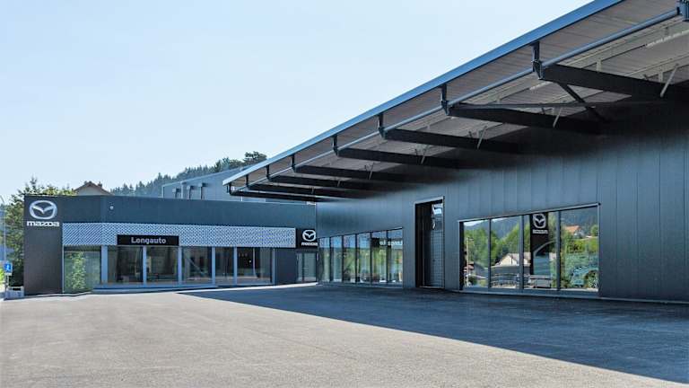 #{dealerWebsitePageName}