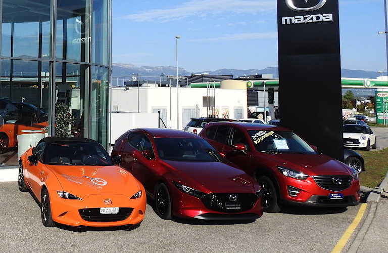 #{dealerWebsitePageName}