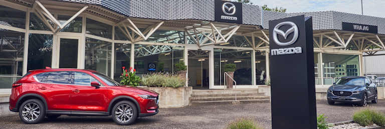 #{dealerWebsitePageName}