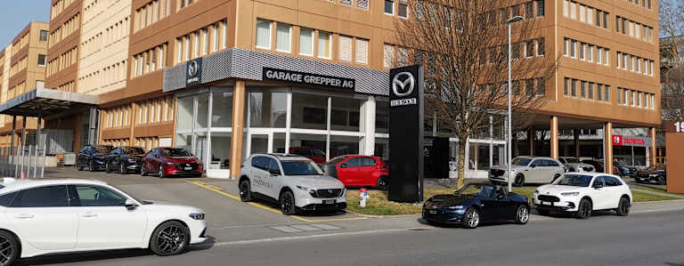 #{dealerWebsitePageName}