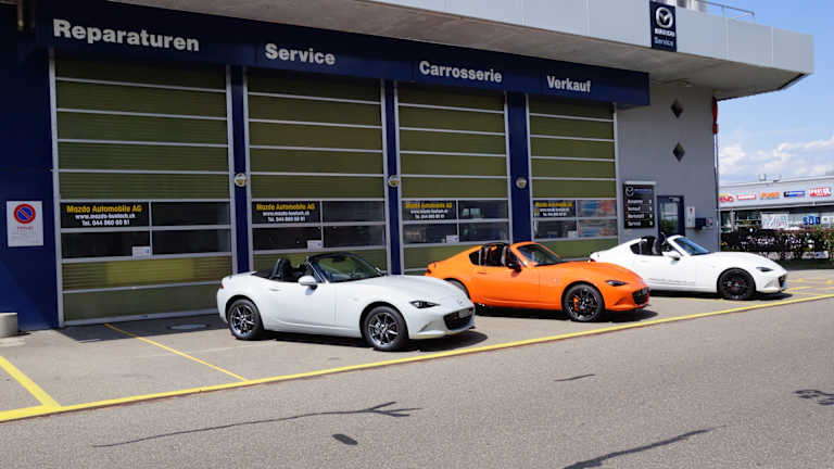 #{dealerWebsitePageName}