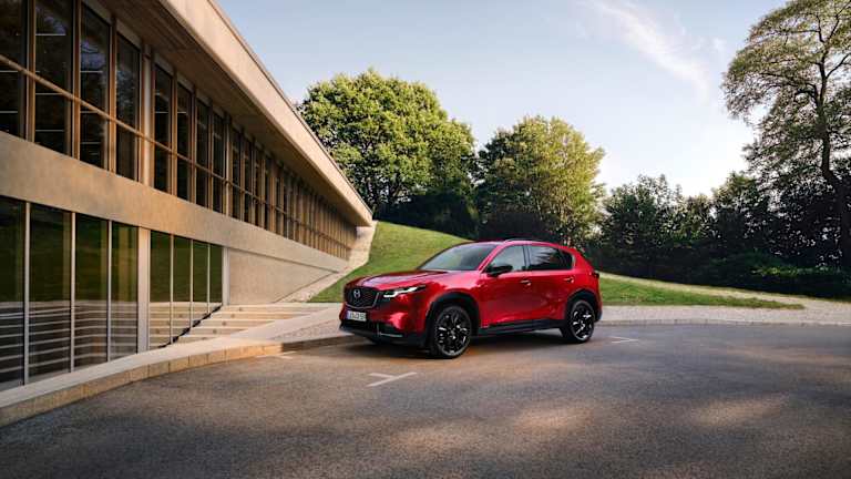 Journées DÉCOUVERTE les 1 & 2 Mai