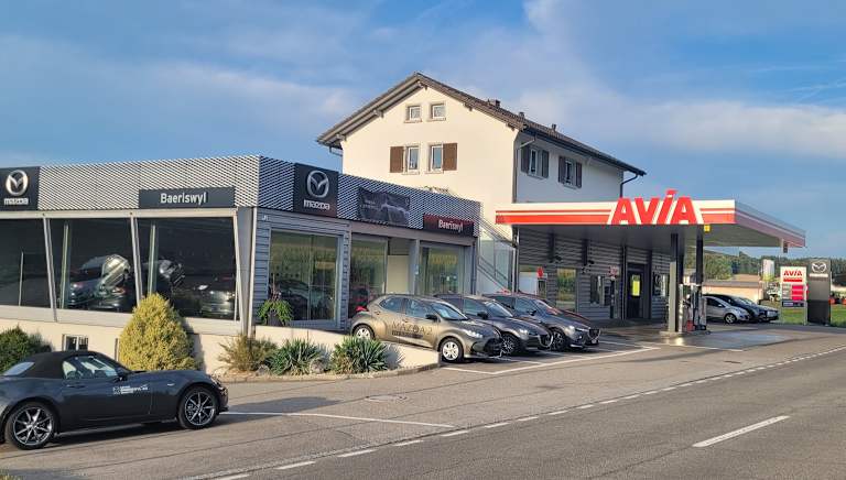 #{dealerWebsitePageName}