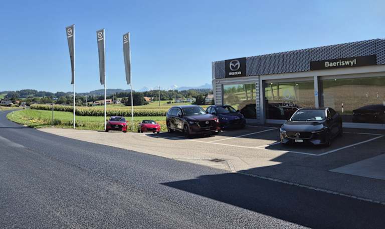 Garage Baeriswyl AG