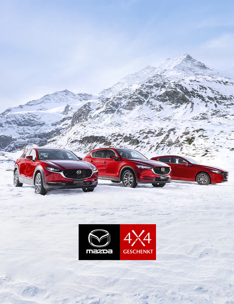 HINKOMMEN, WO KEINER IST.<br /> MIT MAZDA 4×4.