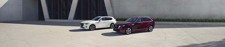 VIELEN DANK FÜR IHRE TEILNAHME UND <br /> VIEL GLÜCK BEI DER VERLOSUNG!