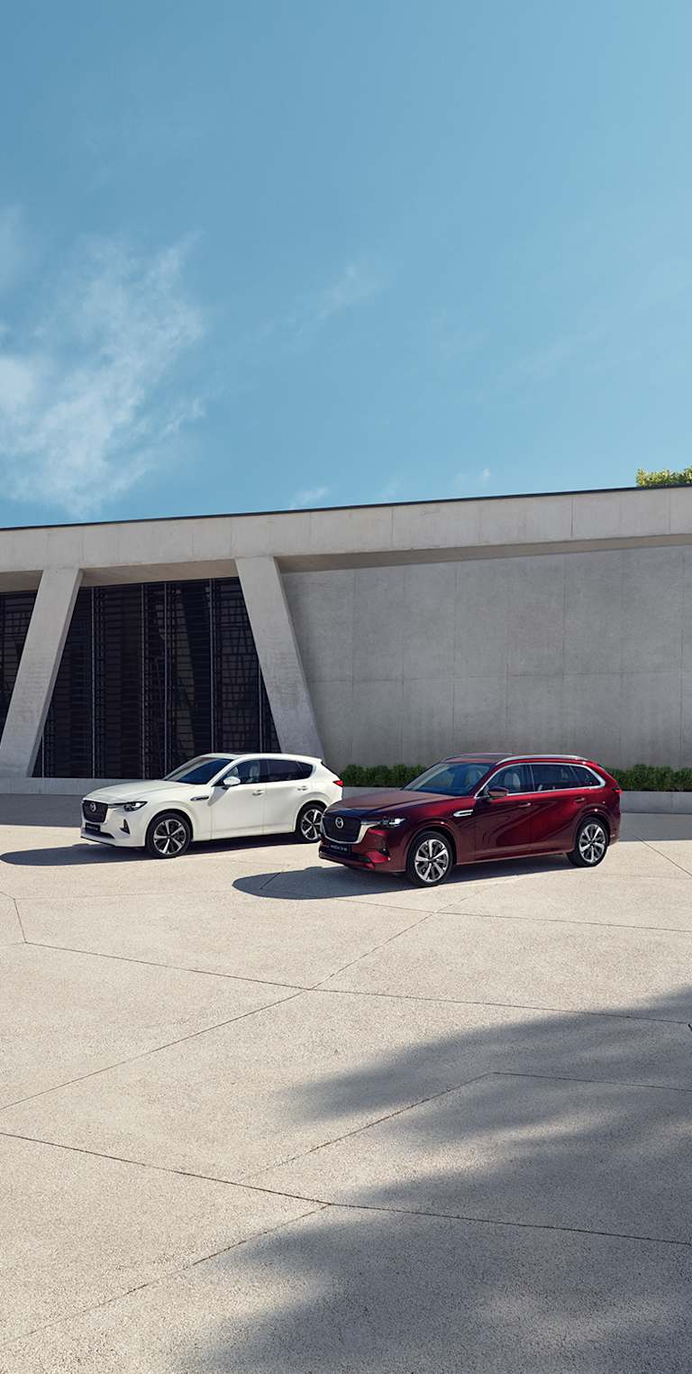 Nur in limitierter Menge