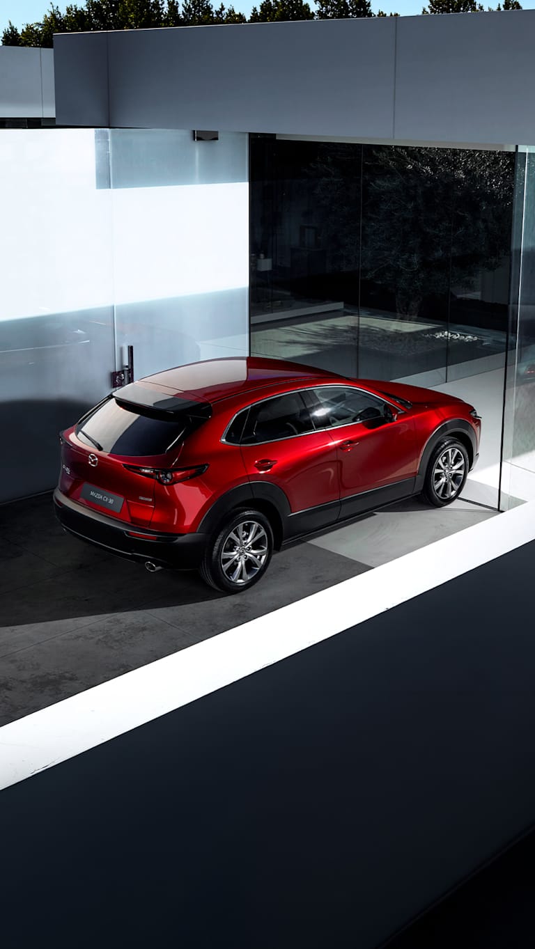 Dienstleistungen & Beratung <br />für Gewerbekunden