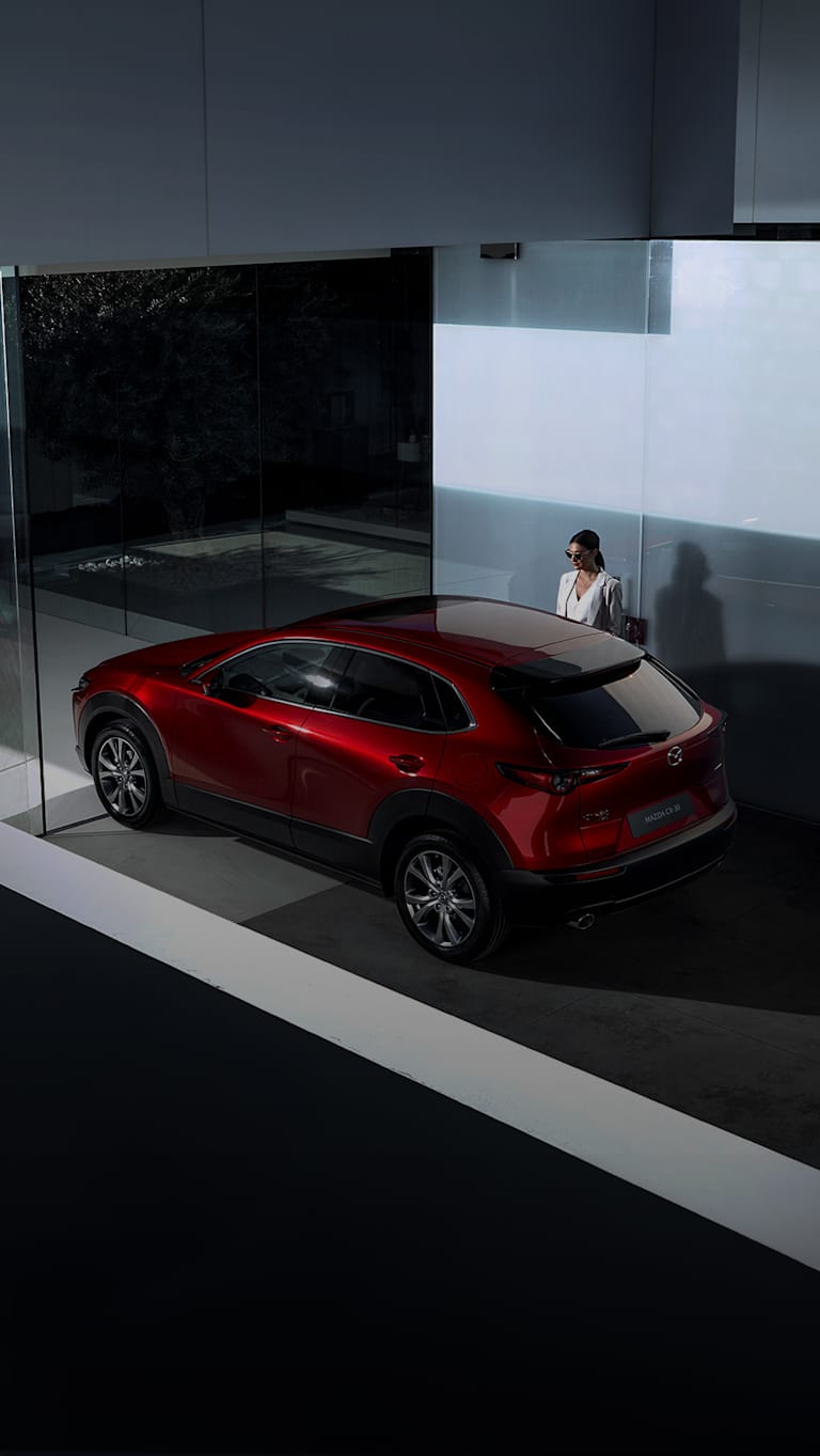 Dienstleistungen & Beratung <br />für Gewerbekunden