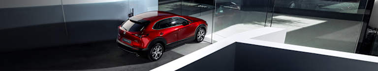 Dienstleistungen & Beratung <br />für Gewerbekunden