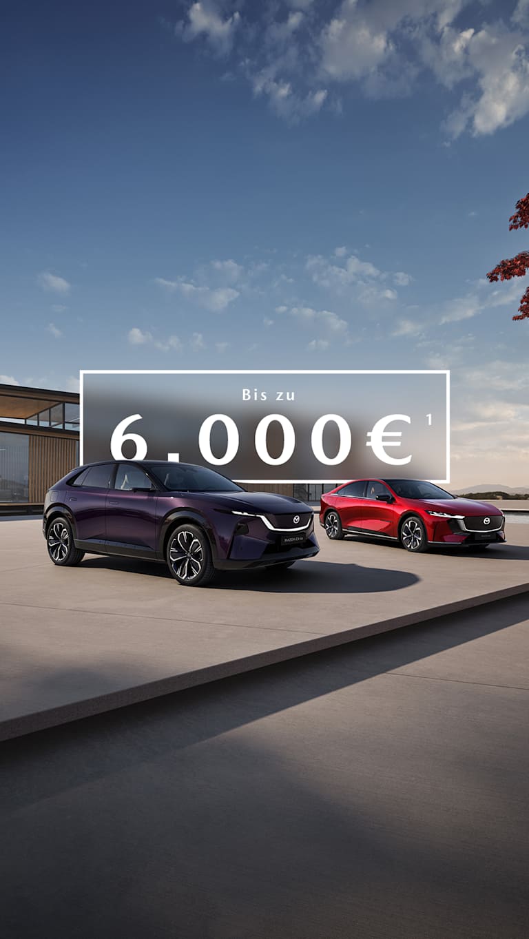 Jetzt einsteigen und staatliche E-Förderung sichern