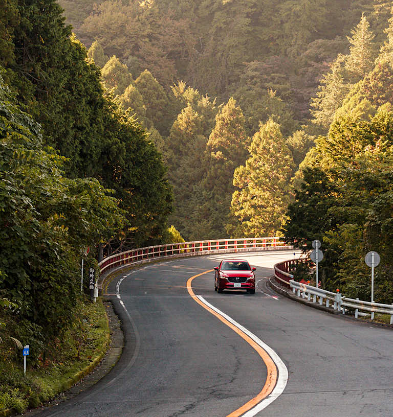 DIE STRASSE NACH HAKONE