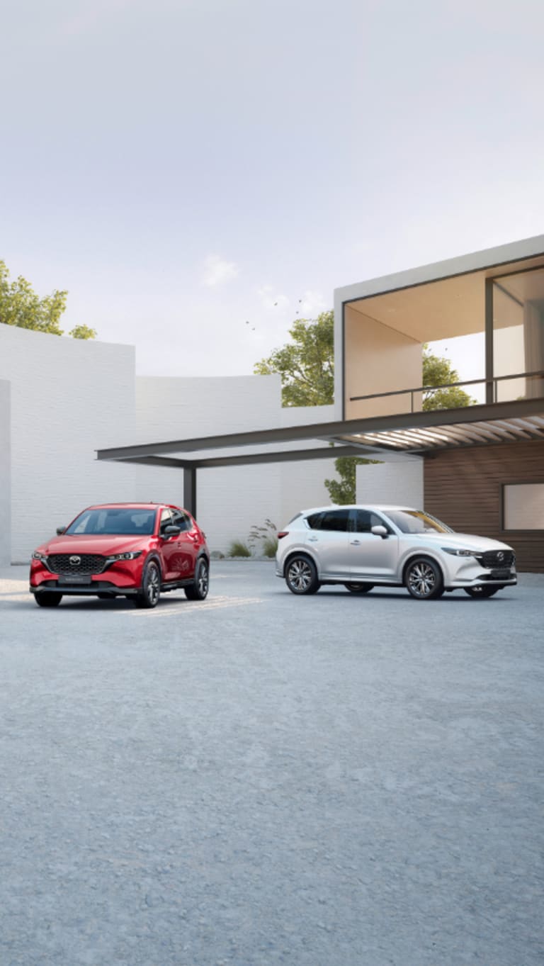 COCHES HÍBRIDOS