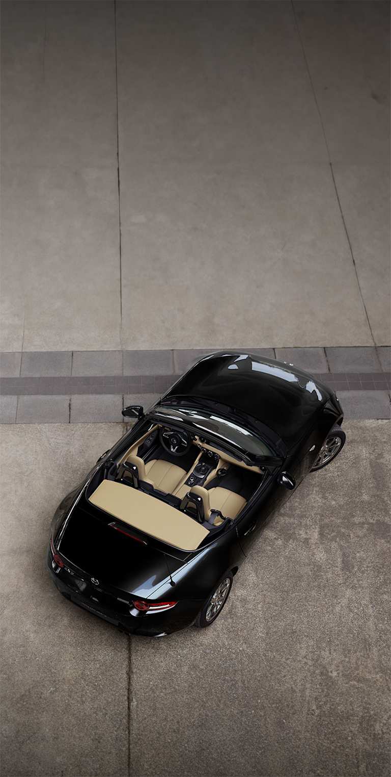 El dinamismo de un toque clásico