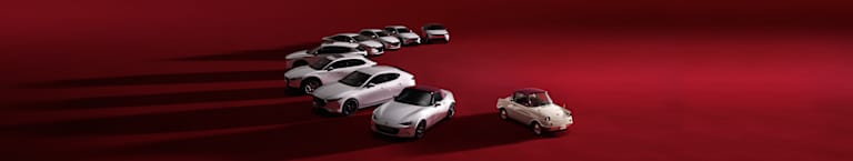 MODELOS EDICIÓN ESPECIAL 100 ANIVERSARIO