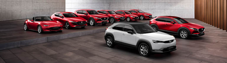 Tu renting de coches para empresas y autónomos