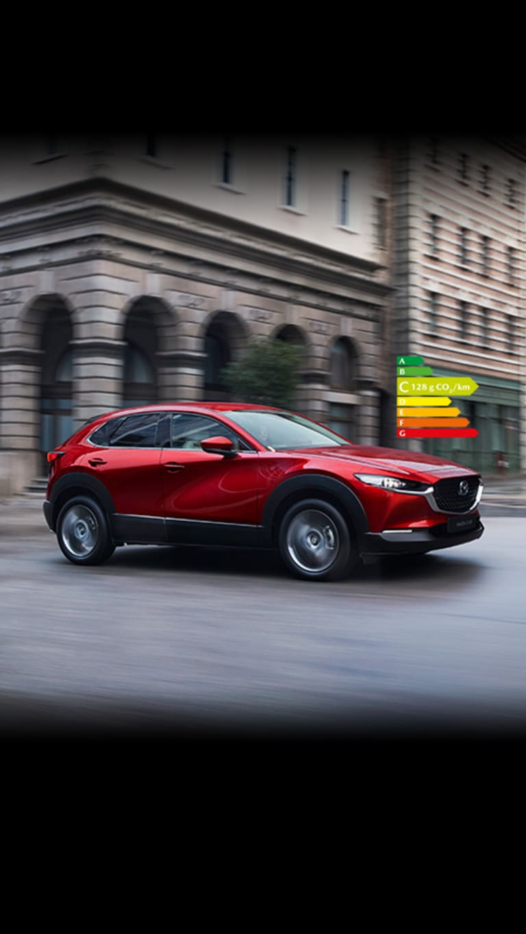 ACCESSOIRES DU MAZDA CX-30